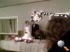 019image.jpg