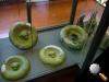1000352image.jpg