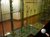 1000354image.jpg