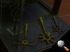 1000356image.jpg