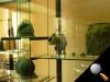 1000358image.jpg