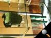 1000360image.jpg